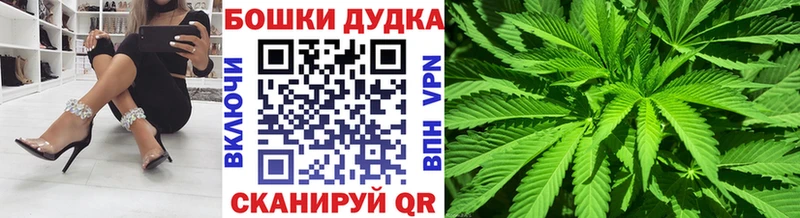 Конопля сатива  Купить где  Заволжск 